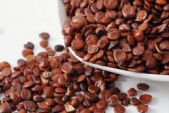 經(jīng)常失眠有哪些治療方法？失眠有什么食療方法？[圖]