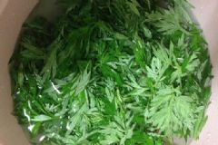 坐月子能用艾葉洗澡嗎？坐月子用艾葉洗澡有什么好處？[圖]