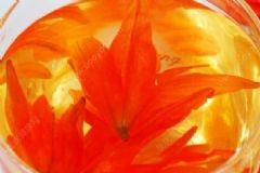 百合花茶有哪些作用與功效？百合花的飲用有哪些注意事項(xiàng)？[圖]
