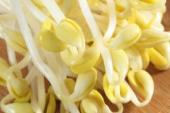 孕婦可以吃黃豆芽嗎？孕婦能吃黃豆芽嗎？[圖]