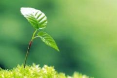 春季天氣漸暖！要注意躲過(guò)這四種“開(kāi)春病”！[圖]