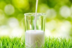 純牛奶加蜂蜜有哪些好處？純牛奶的飲用有哪些禁忌？[圖]