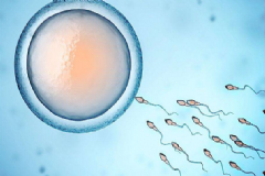 男性精子質(zhì)量低有哪些原因？男性精子質(zhì)量低怎么辦？[圖]