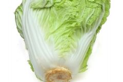 白菜怎么吃可以治病？白菜怎么吃有好的功效？[圖]
