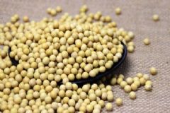 哪些食物能幫助豐胸？常見的豐胸食物[圖]