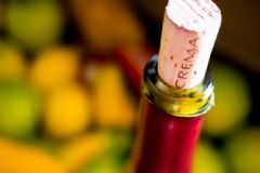 女性喝葡萄酒有什么好處？葡萄酒和紅酒應(yīng)該怎么喝？[圖]
