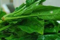 春季怎樣養(yǎng)肝護(hù)眼？春季養(yǎng)肝護(hù)眼有哪些需要注意的？[圖]
