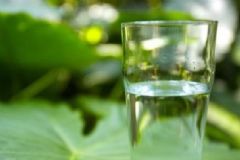 體內(nèi)毒素殘留有哪些不利影響？怎么做才能排出體內(nèi)殘留毒素？[圖]