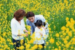 春暖花開惱人的過敏性鼻炎怎么治療？過敏性鼻炎如何預(yù)防？[圖]