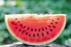 秋燥吃什么食物比較好？如何飲食防秋燥？[圖]