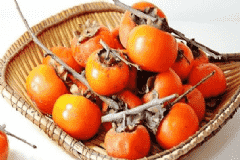 吃柿子會(huì)得結(jié)石嗎？吃柿子會(huì)得膀胱結(jié)石嗎？[圖]