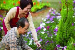 哪些人易患肝癌？什么人易患肝癌？[圖]