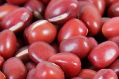 哪些食物能夠治療便秘？便秘患者吃什么東西好？[圖]