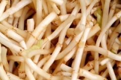 魚腥草泡水孕婦可以喝嗎？魚腥草孕婦能泡水喝嗎？[圖]