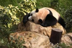 睡覺什么睡姿最好？睡覺什么姿勢對身體好？[圖]