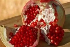 肺結(jié)核適合吃什么水果？肺結(jié)核飲食原則是什么？[圖]