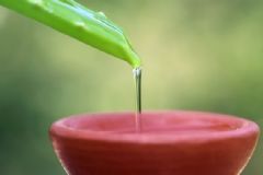 蘆薈面膜的功效有哪些？蘆薈面膜的作用？[圖]