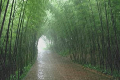 膝蓋下雨天冷到了會得風濕嗎？下雨天膝蓋疼是風濕嗎？[圖]