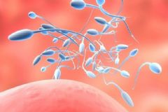 精子成活率百分之三十能受孕嗎？精子成活率30%能懷孕嗎？[圖]