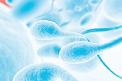 精子成活率百分之十能生育嗎？精子成活率10%低不低？[圖]