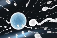 精子成活率低影響性生活嗎？精子成活率低嚴(yán)重嗎？[圖]