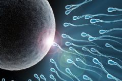 精子成活率什么時候查？精子成活率什么時間檢測好？[圖]