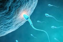 精子成活率怎么取精子？測精子成活率時如何提取精液？[圖]