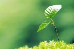 春分時節(jié)注意防病毒防過敏！防病毒防過敏方法！[圖]