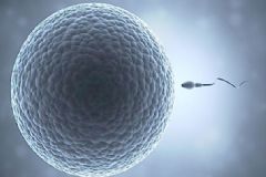 精子成活率還能提高嗎？精子成活率低能不能提高？[圖]