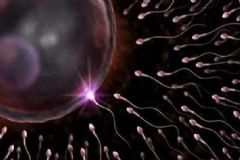 精子成活率低如何治療？精子成活率低怎么提高？[圖]