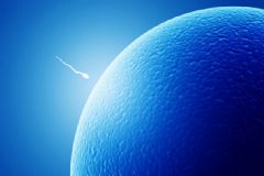 精子成活率怎么看？精子成活率怎么算？[圖]