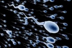 精子成活率低該怎么辦？精子成活率多少算低？[圖]
