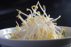 豆芽糖尿病人能吃嗎？糖尿病吃豆芽好不好？[圖]