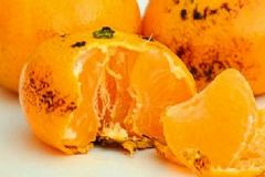 小兒風(fēng)寒咳嗽吃什么食物好？小兒風(fēng)寒咳嗽怎么緩解？[圖]