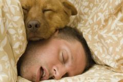睡眠不足有眼袋怎么辦？睡眠不足有黑眼圈怎么辦？[多圖]