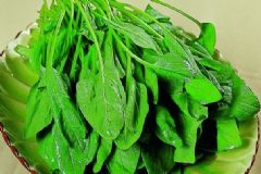 菠菜糖尿病人能吃嗎？糖尿病吃菠菜好嗎？[圖]