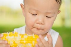 胃不好能吃玉米嗎？胃不好吃玉米好嗎？[圖]