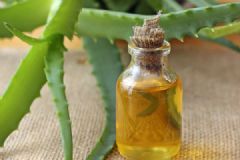 怎么用蘆薈洗頭發(fā)？蘆薈的護發(fā)功效與作用[多圖]