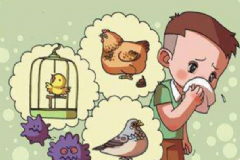 怎么預(yù)防H7N9流感？H7N9與普通感冒有何區(qū)別？[圖]
