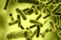 H7N9是什么病毒？H7N9是什么?。縖圖]