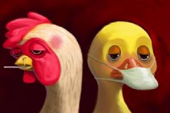 H7N9怎么預(yù)防？H7N9防控措施有哪些？[圖]