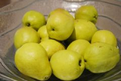 扁桃體發(fā)炎吃什么好呢？扁桃體發(fā)炎食療方有哪些？[圖]