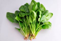 備孕時(shí)吃哪些食物補(bǔ)葉酸？備孕時(shí)女人應(yīng)該補(bǔ)充哪些物質(zhì)？[圖]