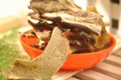 孕婦可以食用牛肝菌嗎？牛肝菌有哪些功效呢？[圖]