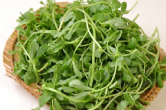 野菜有哪些？野菜能吃嗎？[圖]
