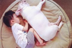 小孩拉肚子并有血絲怎么辦？小孩拉肚子并帶有血絲是怎么回事？[圖]
