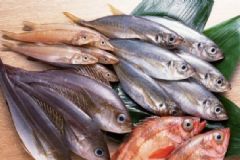 孕婦可以食用海魚嗎？孕婦不能吃哪些海魚呢？[圖]