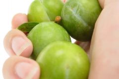孕婦能不能吃李子？孕婦吃李子好不好？[圖]