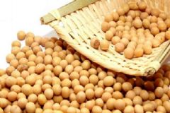 黃豆糖尿病人能吃嗎？糖尿病能吃黃豆嗎？[圖]