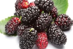 預(yù)防老花眼吃什么好？老花眼食療方有哪些？[圖]
